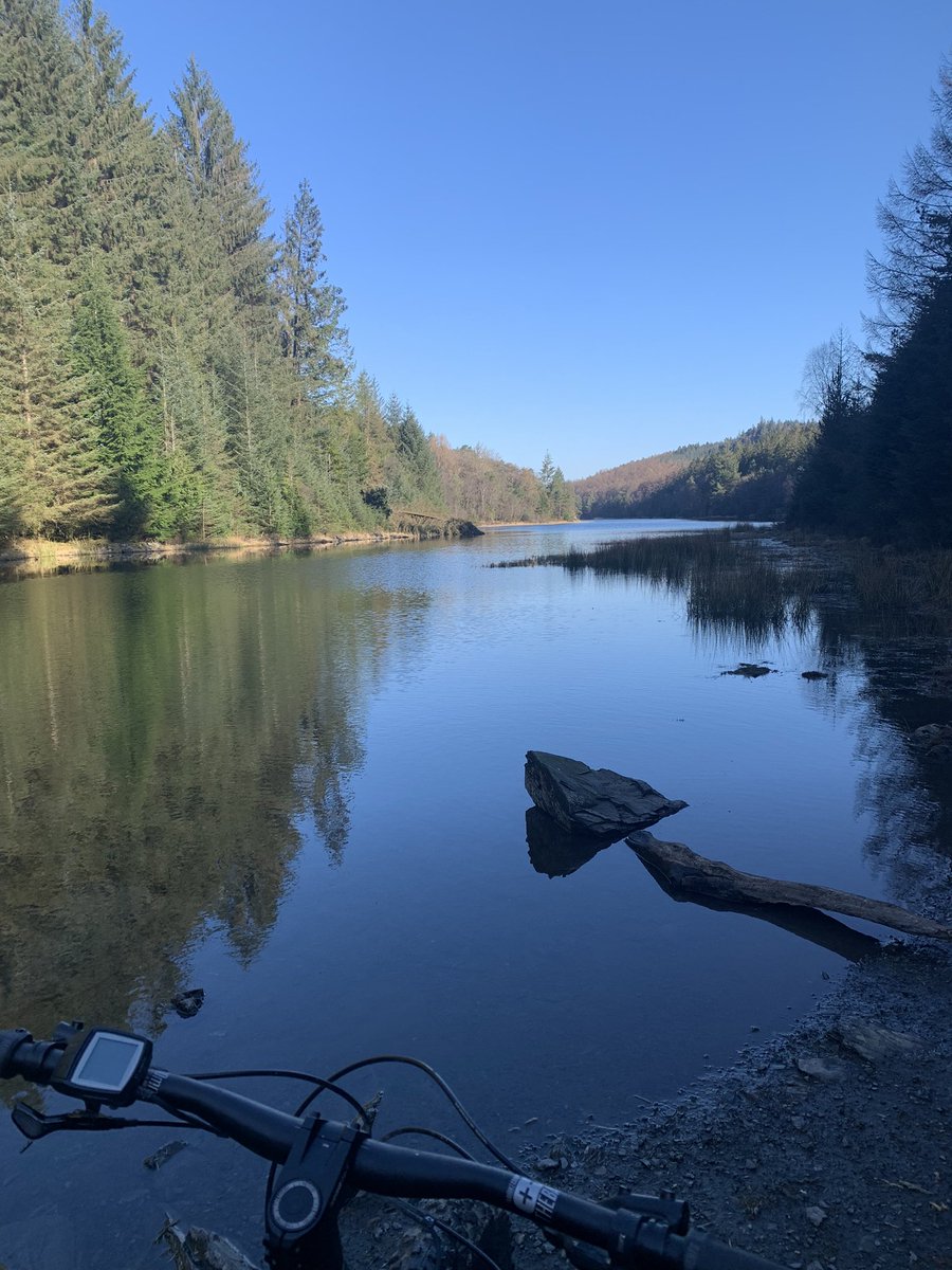 oemetcalfe's tweet image. Bore da o #llynparc #gwydir Good morning