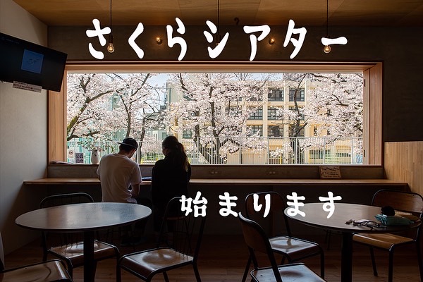 Mitsuwaya's tweet photo. 大阪の開花予想は24日！あと4日🌸春が来ますね〜😁わくわく🎶
１階のスペースにある大きな窓を全開にして、桜を見ながら室内でお花見できますよ〜
＜さくらシアターみつわ屋＞https://t.co/n8WuvudGPJ https://t.co/0Zkrboi0RX