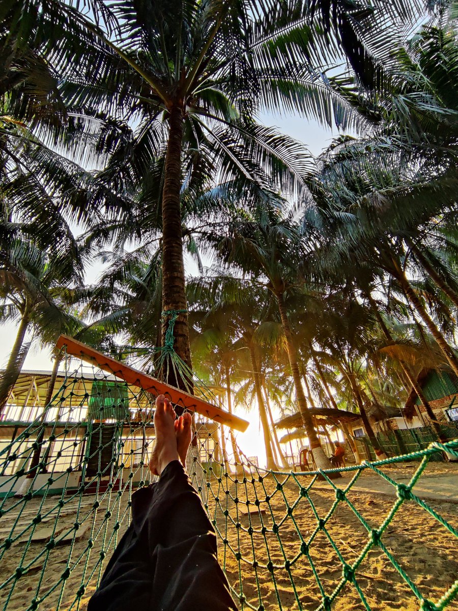 Mosfiqun Nahid Hassan tweet media