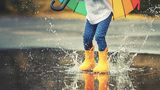 policiaelche's tweet photo. Durante la semana que viene se esperan #lluvias, por lo que como conductores debemos moderar la #velocidad.
👉🏼 Al llegar a zonas con acumulación de agua debes evitar #salpicar a los peatones.
Sí, es una #infracción.
No, no creemos que haya que explicar por qué. https://t.co/vORE9mNhuK
