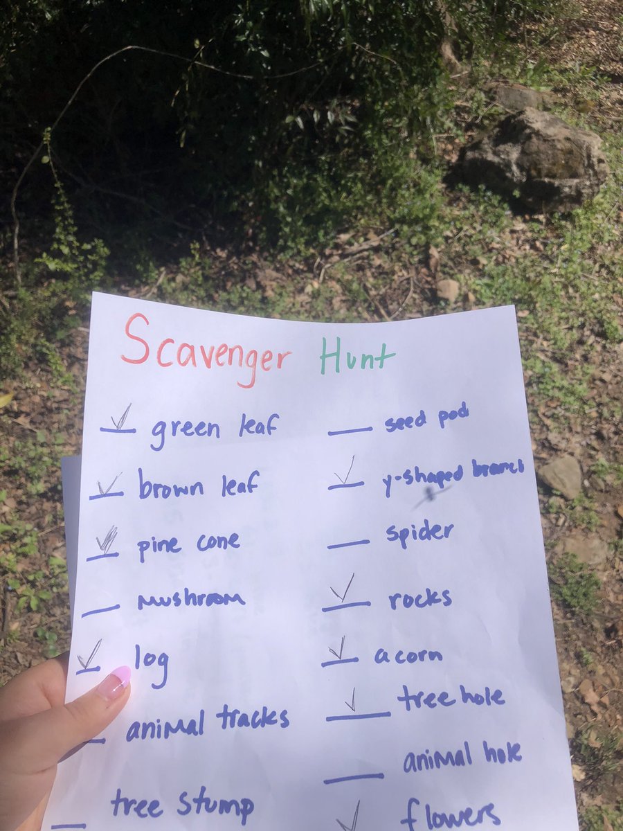 Ms Emily Shabo tweet media