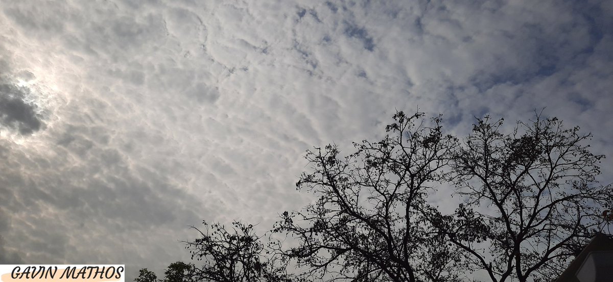 gavin_mathos's tweet photo. ☁️ #DullWeather #NoSun 
📍 #VasaiVirar #Mumbai  🤳 #ShotOnSamsung #Android #ThePhotoHour https://t.co/u8O2zpDZGX
