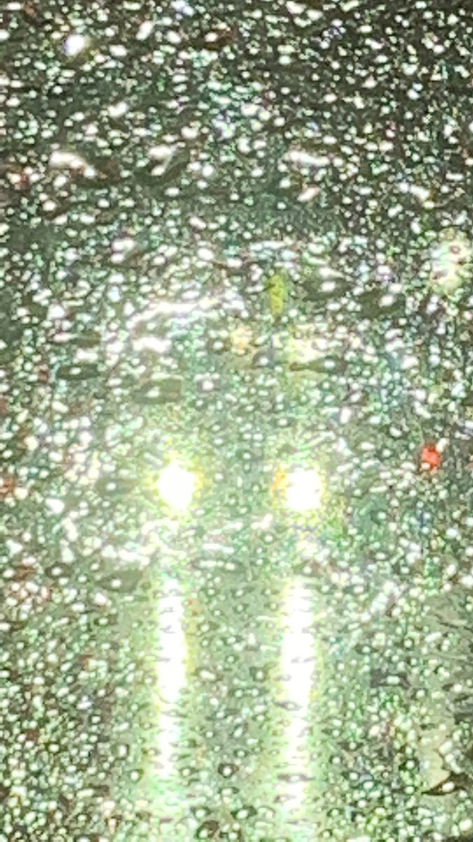 alliek__'s tweet photo. i’ve been informed that my car has been gel blasted by that car with those stupid headlights https://t.co/oXRU4i03pk