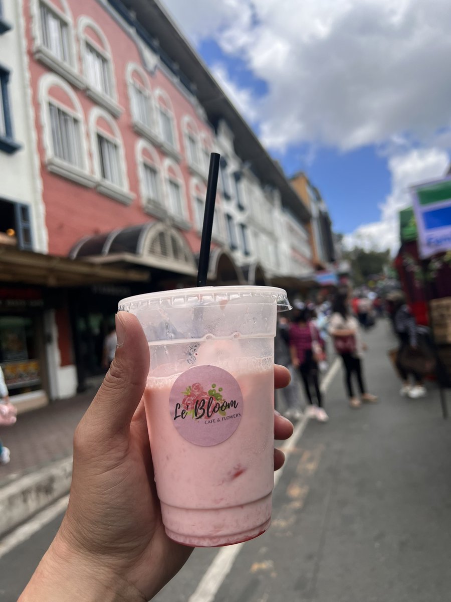 itsmeBADJ's tweet photo. Session Road in Bloom โค๏ธโค๏ธโค๏ธ #baguiocity #lebloommobilecafe #sessionroad #sessionroadinbloom https://t.co/OYn4jSq4VS