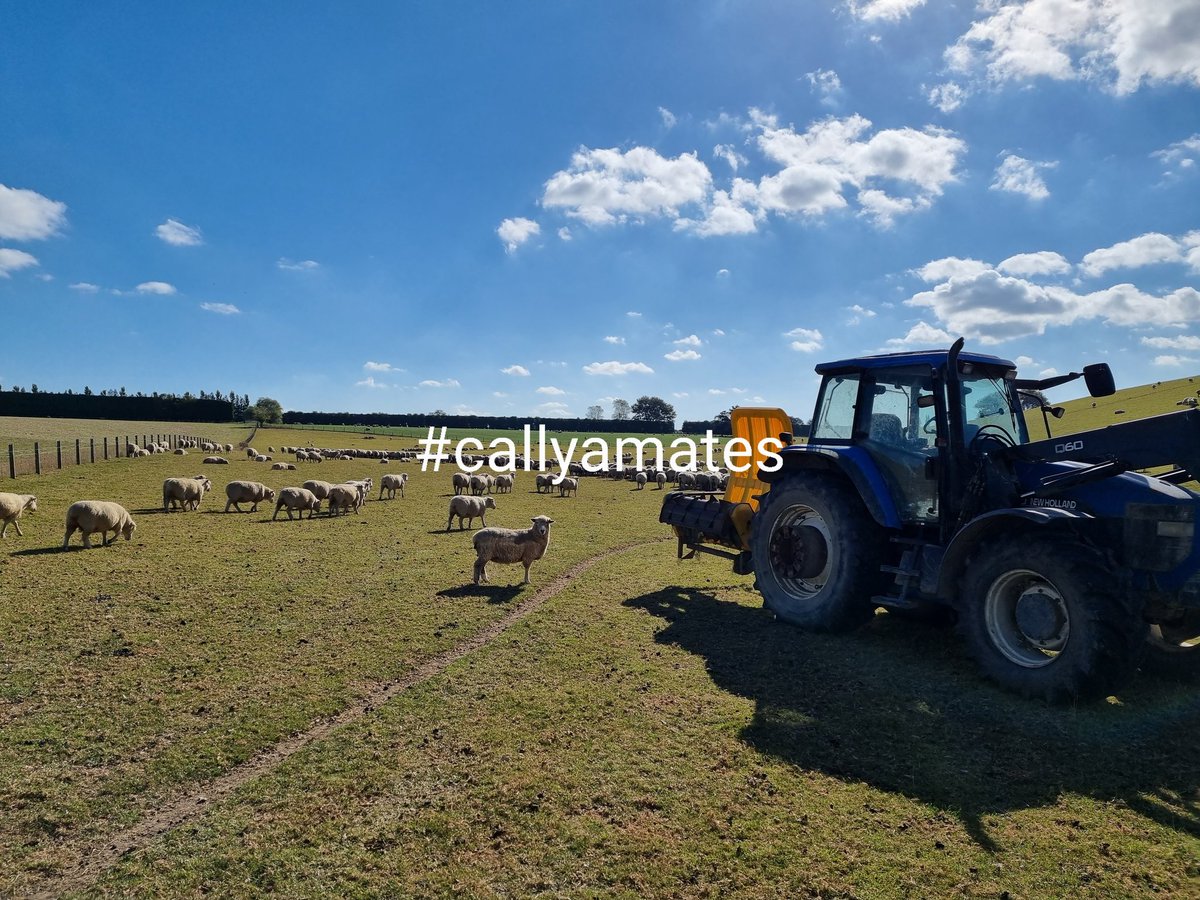 Ben Dooley 🧢 tweet media