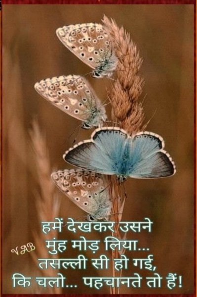 Army_personnel7's tweet photo. ""  हमे देखकर 
उसने मुह मोड़ लिया
 तसल्ली सी हो गयी 
कि चलो
 पहचानते तो हैं कम से कम  ""
#Chacha_Chaudhary _ 💔 https://t.co/YZumH8SX89