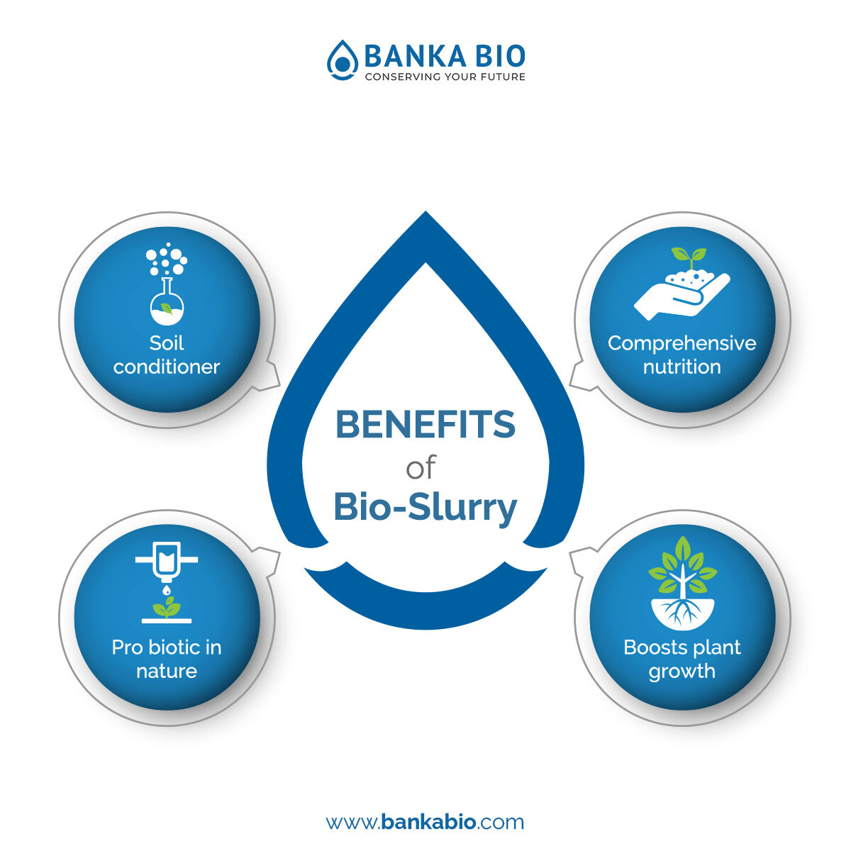 bankabio's tweet photo. A biogas digester converts the cow dung into biogas that can be used for cooking and lighting.
The bio-slurry produced by this process is an excellent organic fertiliser that can be used to improve soils and crop yields.
To learn more, visit https://t.co/OlZe1hKxbN
#BankaBio https://t.co/NBvTfRqCss