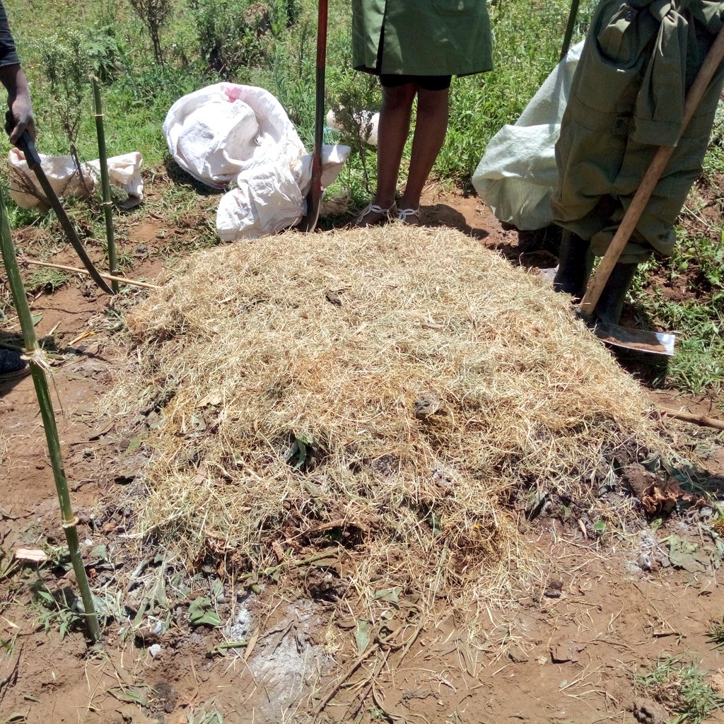 njerigithua_953's tweet photo. With wrong farming methods, we turn fertile lands into deserts. Unless we go back to #organicfarming and save the soil, there's no future.
#compost
#composting
#compostingisfun
#YOUTH https://t.co/DLODGfH9BW