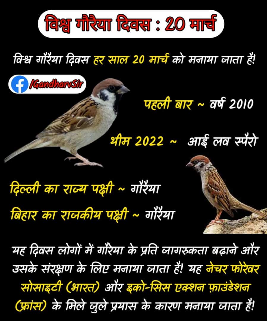 Manish_4189's tweet photo. विश्व गौरैया दिवस (World Sparrow Day) 🐦🐦🐦🐦🐦
#WorldSparrowDay
#savesparrow #savebird @yadavakhilesh @AmModiFan1 @narendramodi_in @vivekagnihoti @aajtak @AmitShahOffice @AmitShah @NitishKumar @Jduonline @RJD_BiharState @DigitalTeam_RJD @laluprasadrjd @chiragpaswan @RjdNalanda https://t.co/yhbZTkfiGP
