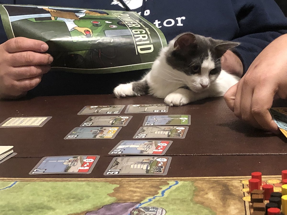 flotsam78's tweet photo. Teaching @gadfertt how to play Power Grid, he’s kicking our asses 😂 Aurora wanted to play too! #boardgames #gamenight #powergird https://t.co/l8zoUbLbV0