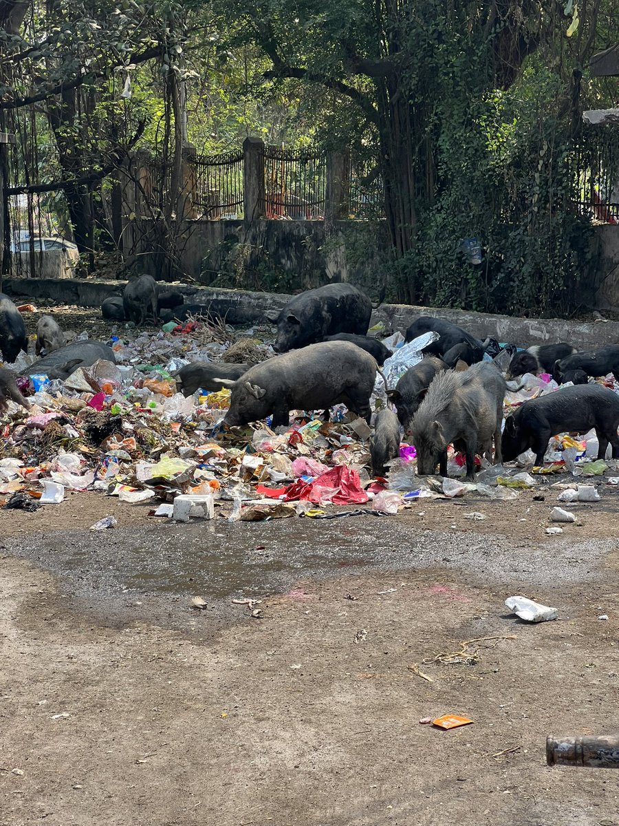 shrinildhk18's tweet photo. NO ONE CARE OF THIS #CLEANNAGPUR  #CLEANINDIA @ngpnmc @CMOMaharashtra https://t.co/bHAeb9BtVi