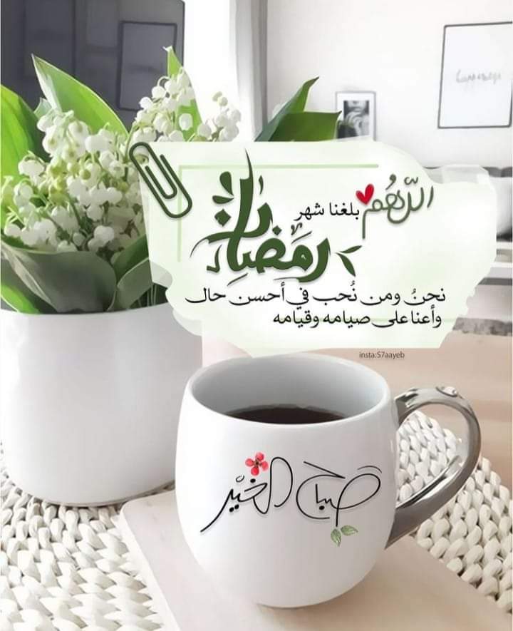 LLV4u4U0sE62TO6's tweet photo. في الحياة..
دائمًا تأتي أجمل الأشياء بعد صبر طويل؛ 
لذا  لا تيأس أبدًا.
                                           صباح الأمل والتفاؤل 🌿💞 https://t.co/ztaIyq2bs7