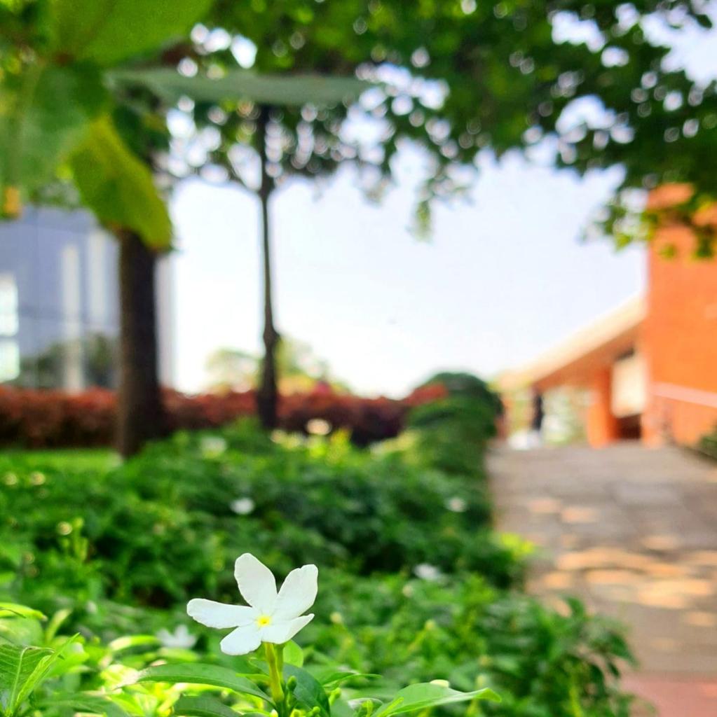 GIM_Sanquelim's tweet photo. Bidding adieu and wishing all the best to the Batch of 2020-22 as they step into the new phase of their lives.
#GIM #LifeAtGIM #EventsAtGIM #Farewell #Students #Campus #Goa https://t.co/1Hr9sB3DDV