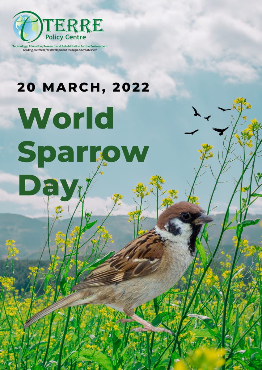 terreindia's tweet photo. This #WorldSparrowDay, let us celebrate the ecological significance of sparrows and pledge to love and conserve the sparrow which is on the verge of extinction. https://t.co/hrULHQuFWh