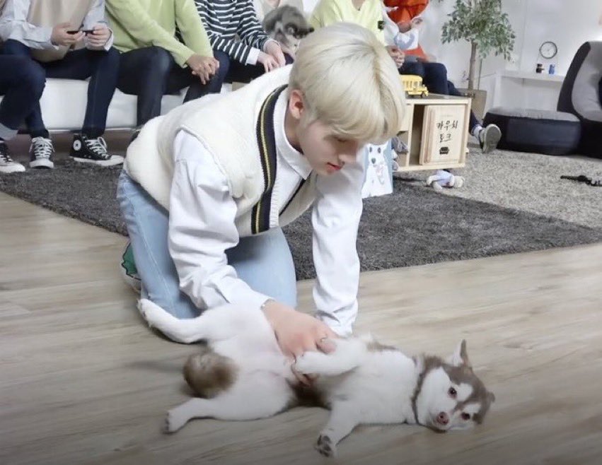 no_pandanme's tweet photo. 형 일어나.. 
엄마가 밥먹으래..

                                    아씨 안먹는다 하라고 https://t.co/AgwThcjxzc
