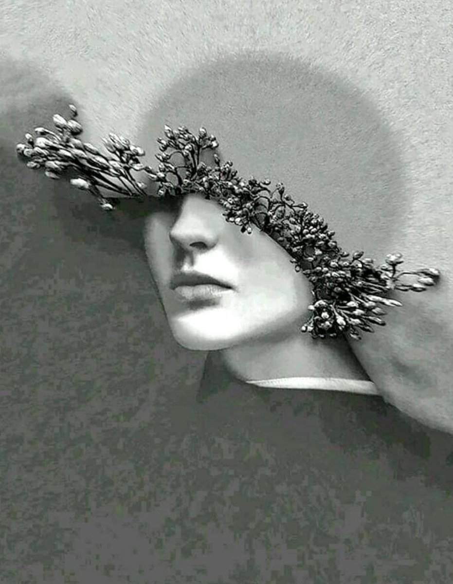 Anna_15_06_099's tweet photo. "Pursue what catches your heart, not what catches your eyes."
✍️ Roy T. Bennett, 'The Light in the Heart' https://t.co/0u4fjTzYUt