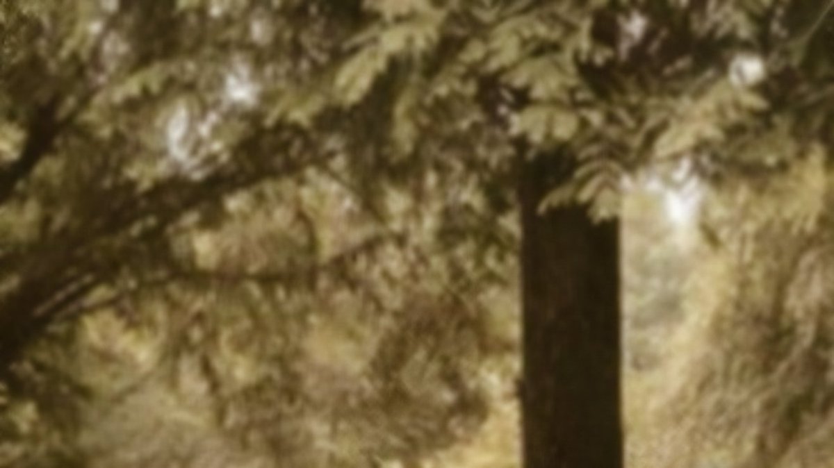 Media image