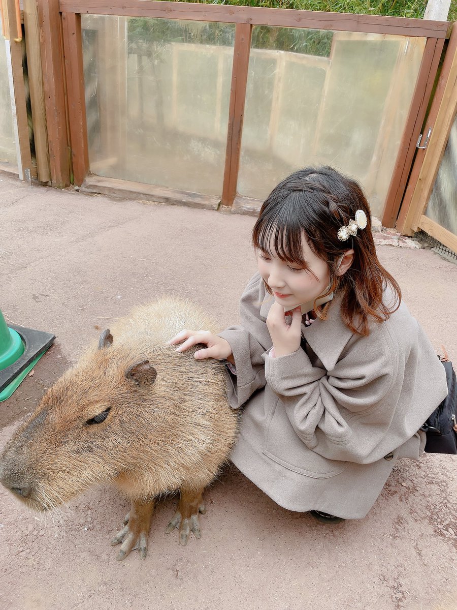 カピバラかたかった。

かわいい〜♡
