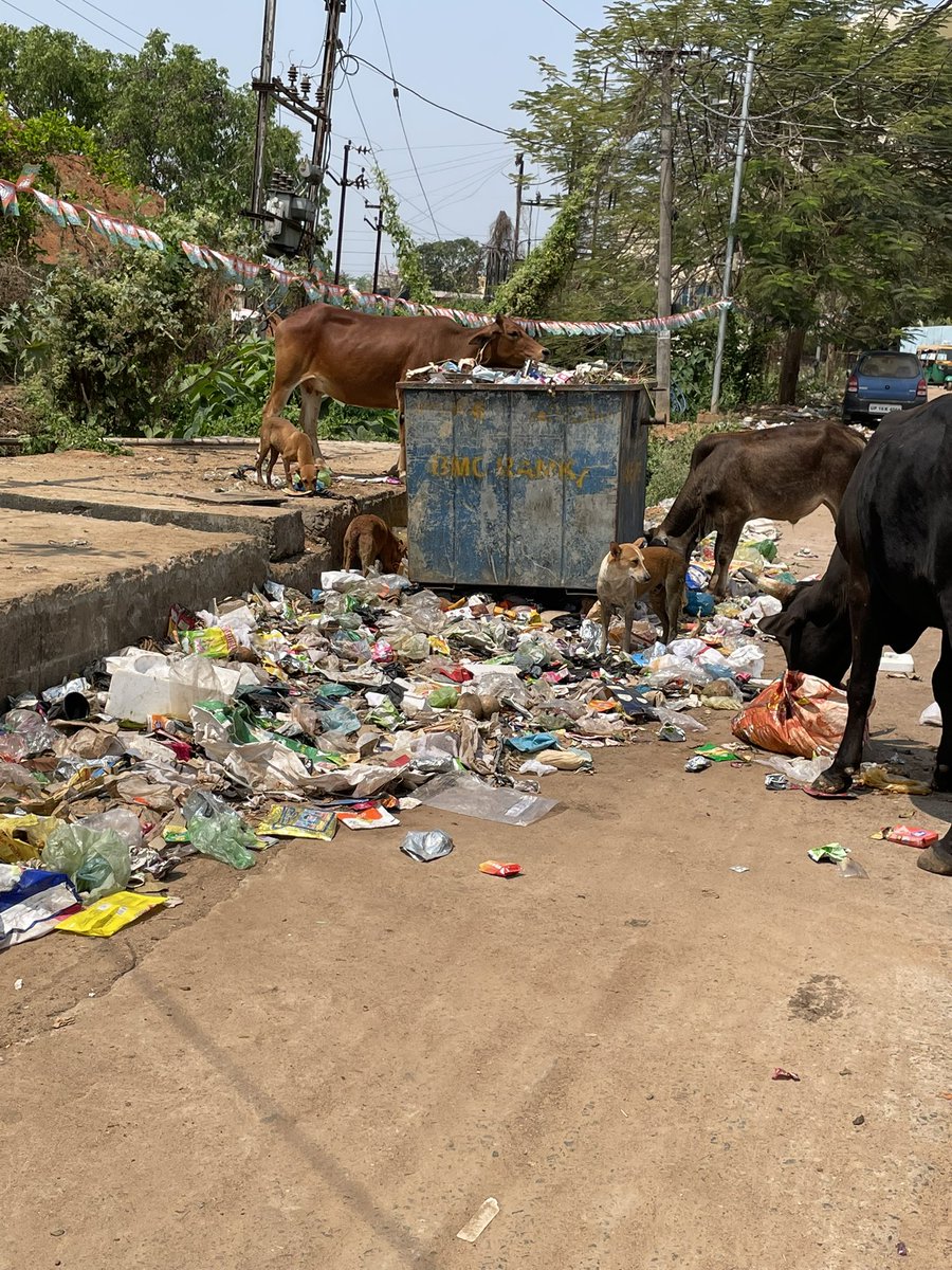 subhamfrank's tweet photo. is this how BMC works @bmcbbsr @CMO_Odisha https://t.co/oQk2EXvpor