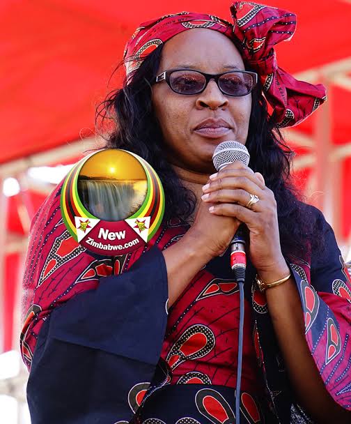 TinayeEdwellYAV's tweet photo. I just want to see something. Retweet for Sithokozile Chamisa and Like for Auxillia Mnangagwa.

The future is exciting!!! https://t.co/Gd0TqFOOem