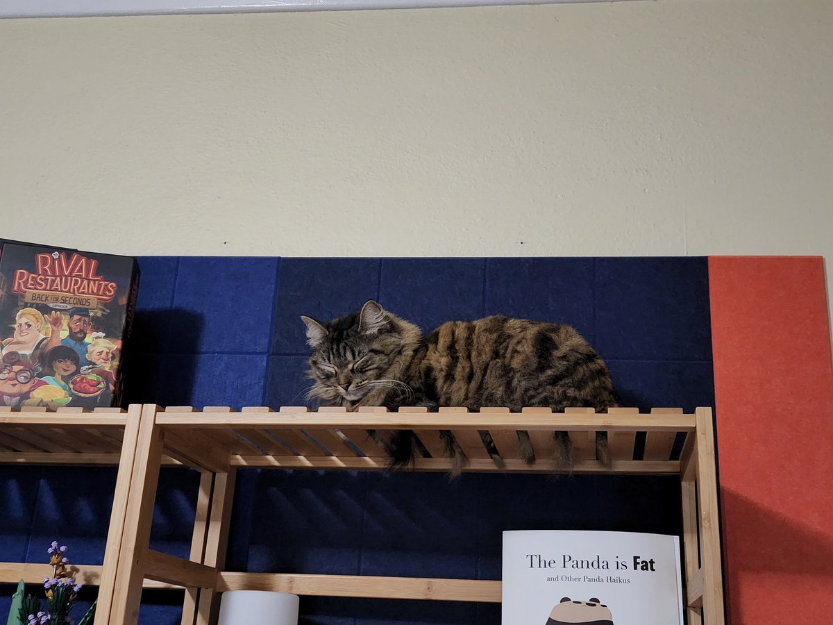 thegraybillion's tweet photo. @Gamefreakgeek She misses you too. Here she is pouting after everyone left. https://t.co/NB7dqmyDih