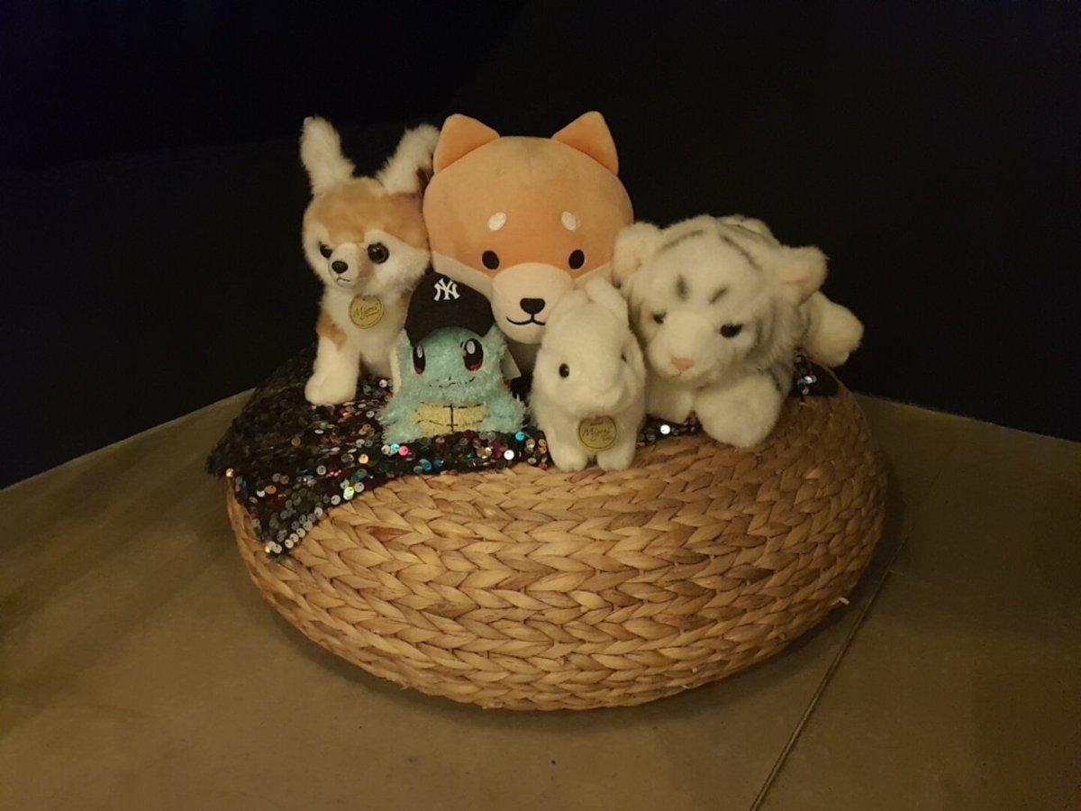 dreamdori12's tweet photo. 뒤늦게 쓰는 후기
3. 골드문
내가 알지 못했던 시절의 뉴이스트부터  지 지금의 뉴이스트까지 잘 자라온 그들의 모습을 엿볼 수 있었던 공간 
여권은 너무 감동적이잖아🥲
@nuest_10th 
#함께한_시간만큼_더자란_마음
#뉴이스트_고마워_행복을_응원해 https://t.co/8sNMPs8dpC
