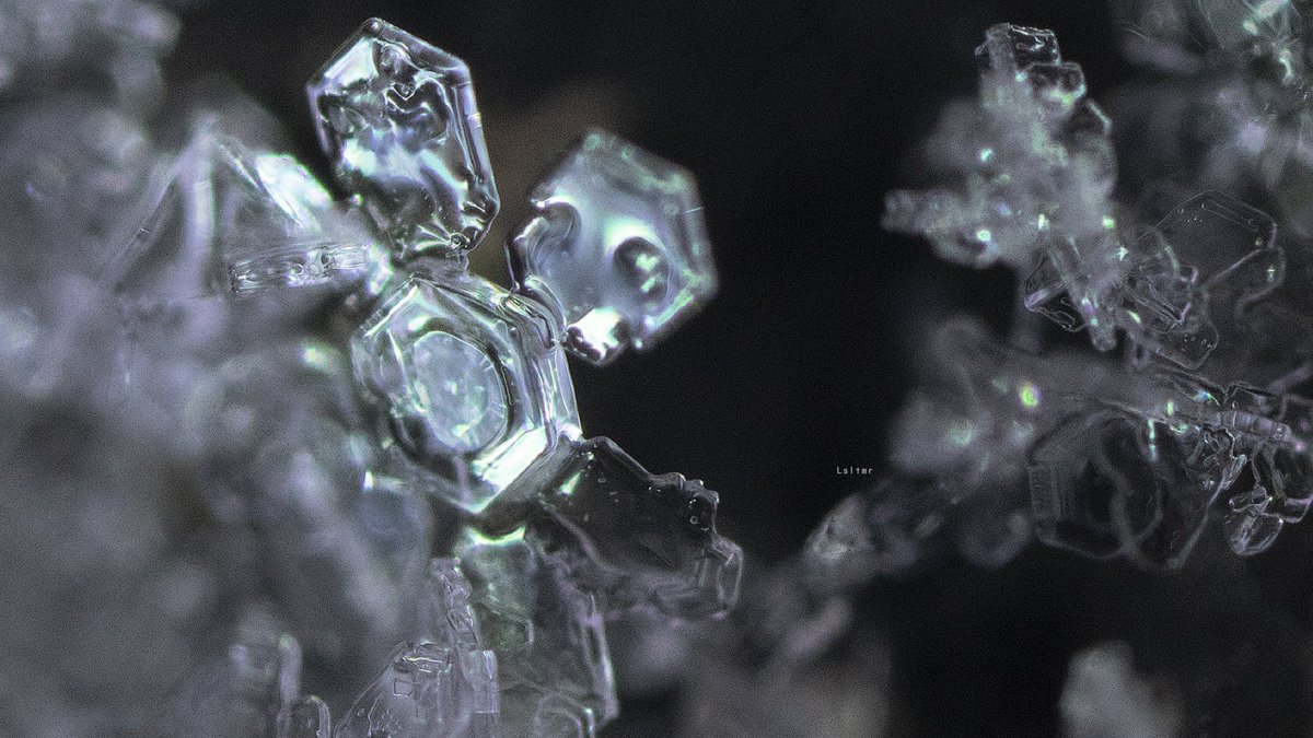 lsltmr's tweet photo. Snow 春分前雪 https://t.co/mtP5H2ZaWd