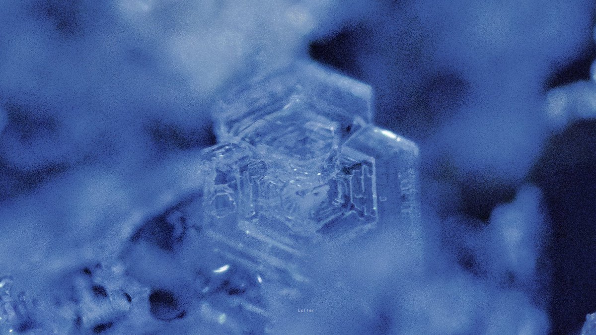 lsltmr's tweet photo. Snow 春分前雪 https://t.co/mtP5H2ZaWd