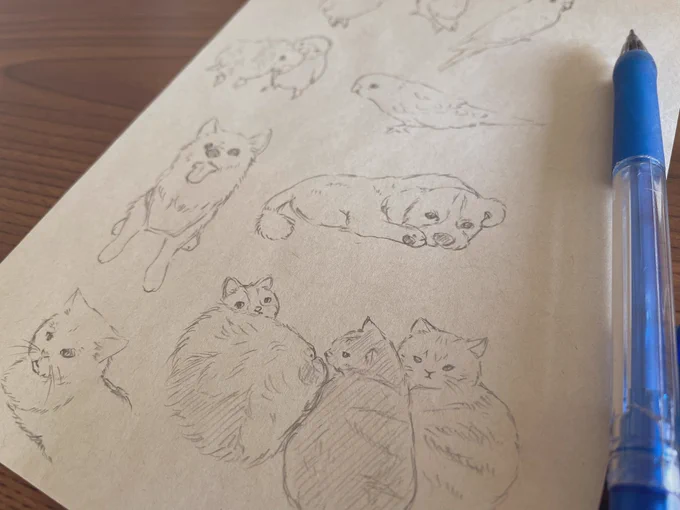 実家なうでiPad忘れてきちゃったので、送ってもらったペットちゃんたちをとりあえず紙に描いてみた🐶🐱🦜家帰ったらデジタルで描き直す🎨
みんな可愛い〜🥰と写真見ながら癒されてます☺️💕 