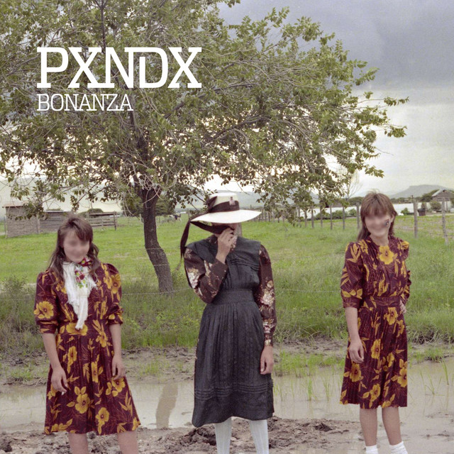 Remordicion's tweet image. “Otros conquistaron, pero yo mejor corrí.”

Bonanza cumple 10 años el día de hoy. #PXNDX