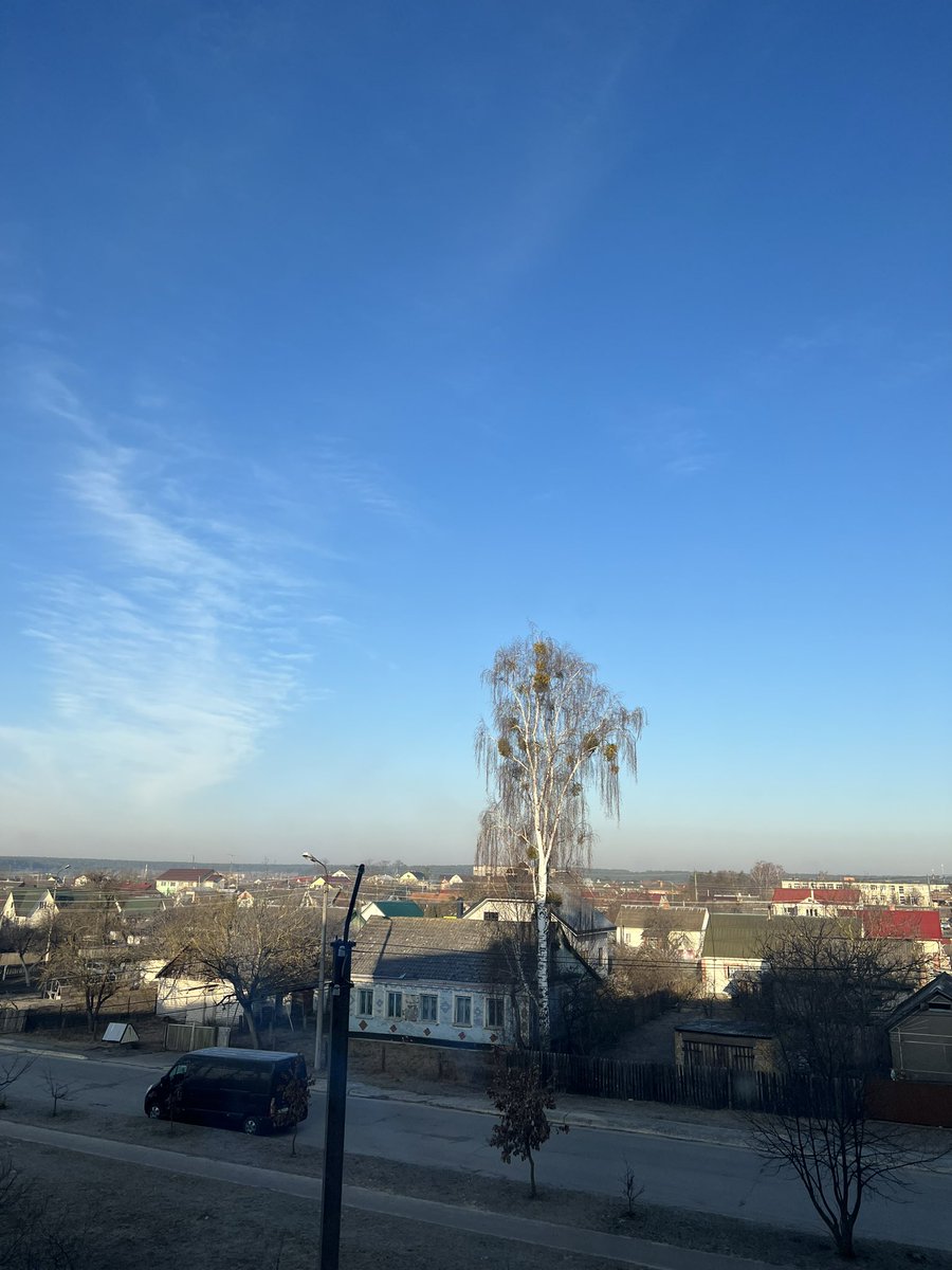 Yaroslava tweet media