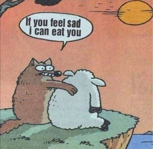 Irena Buzarewicz (@irenabuzarewicz) on Twitter photo 