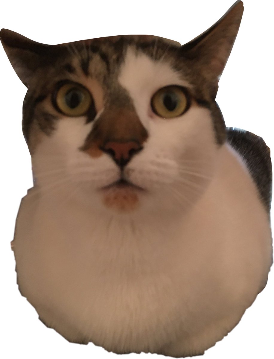 cloudjesta's tweet photo. https://t.co/xx9lrAATR5