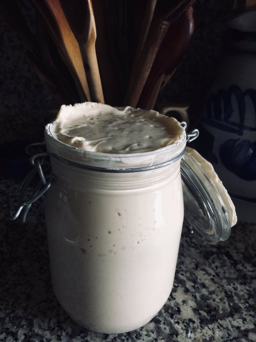 #sourdough - The magic of #levain never seizes to amaze me.