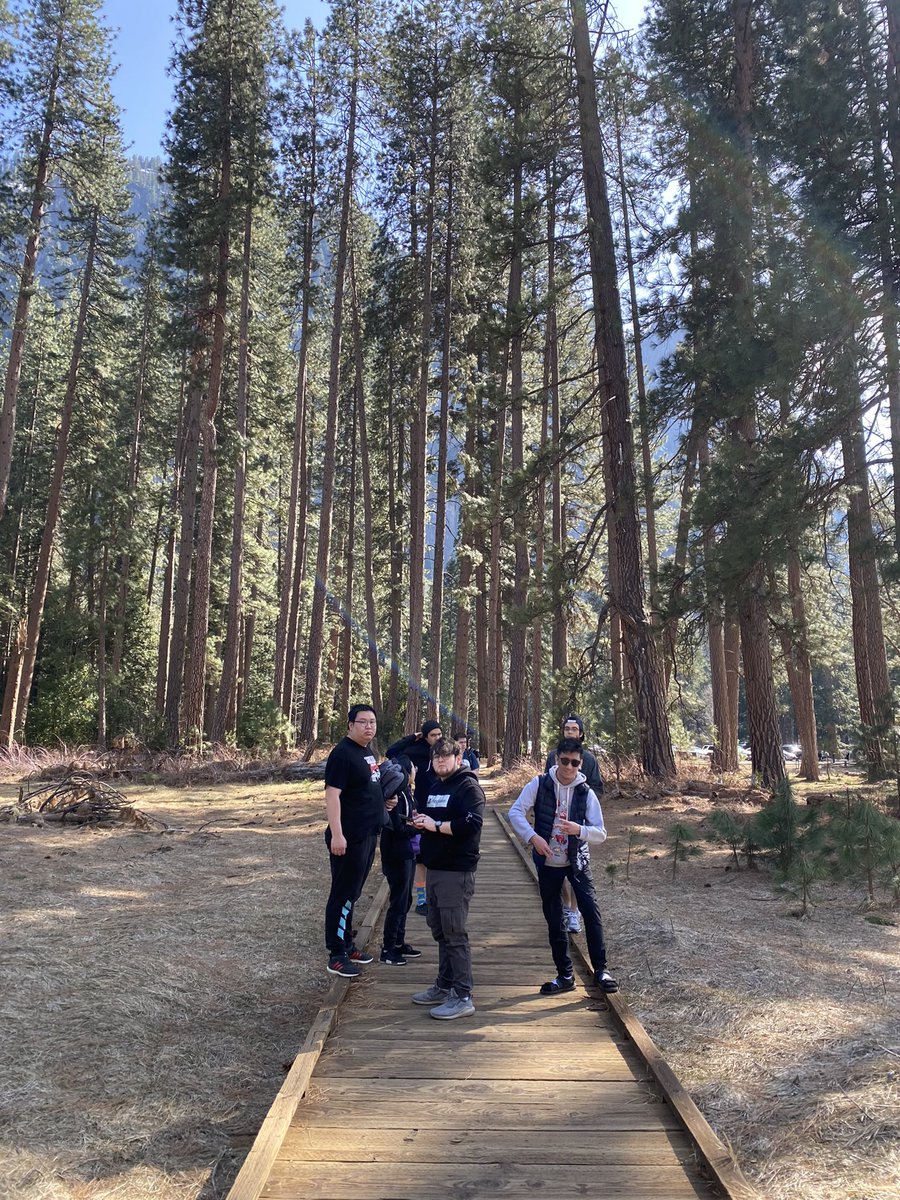 Christina Ge tweet media