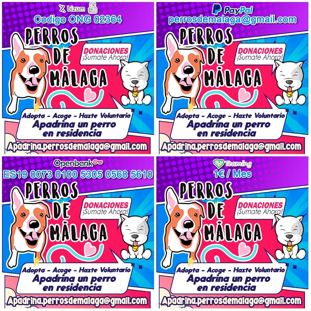 ermancogamer's tweet photo. Señores cumplimos ya 36 horas de las 48... Estamos a la mitad aún de la meta final. Vamos gente!! Que se puede, todo el mundo dando el último esfuerzo. Donar directamente a la asociación de @perrosdemalaga a traves de sus 3 formas de pago disponible. Vamos gente.. Se puede.. https://t.co/nVWzqmkbtO