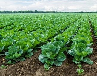 Ndayisabye Rukundo Christian tweet media