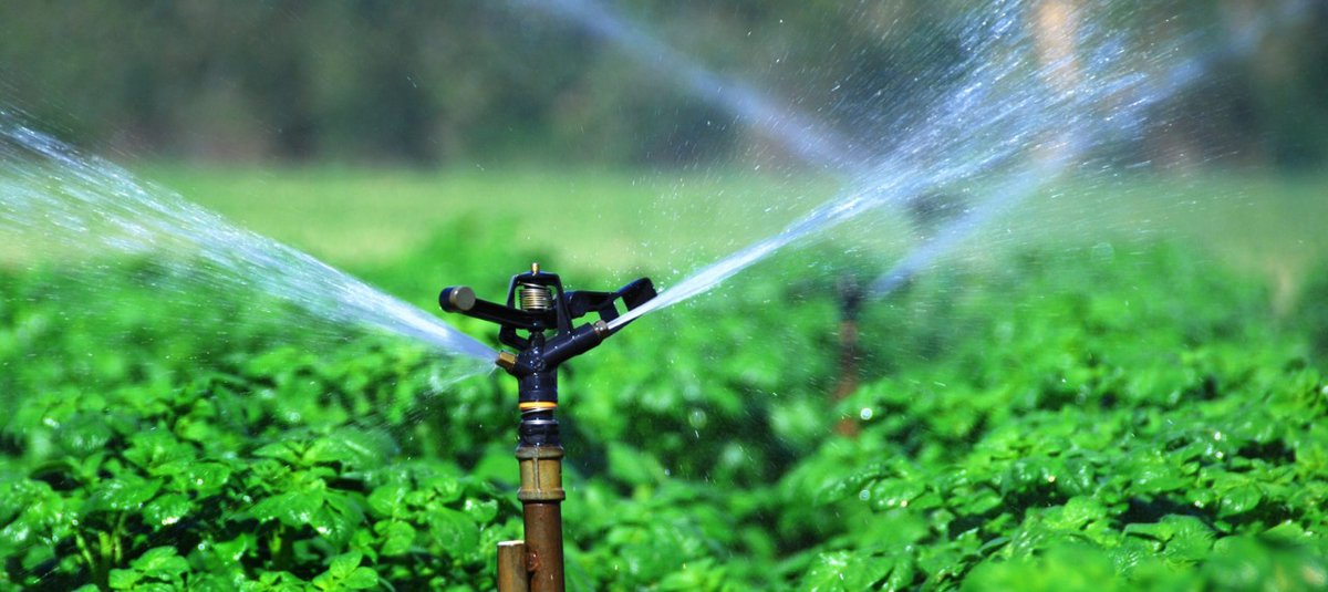 Ndayisabye Rukundo Christian tweet media