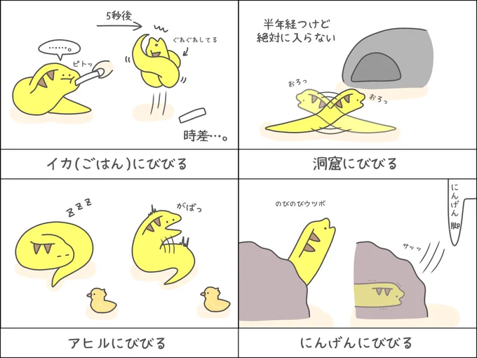 びびるウツボ4選 