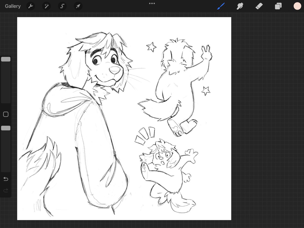 FURRY ALERT !!! 