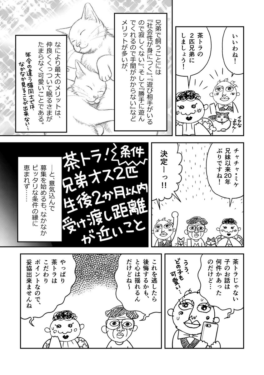 濃虎&薄虎が我が家に来るまでの経緯を描いた漫画も掲載!
『一丁目の濃虎&薄虎①』
販売中でーす!😆✨
ネタは貯まる一方…早く2巻を出したーーい!!!
https://t.co/UPfbXmNFLc