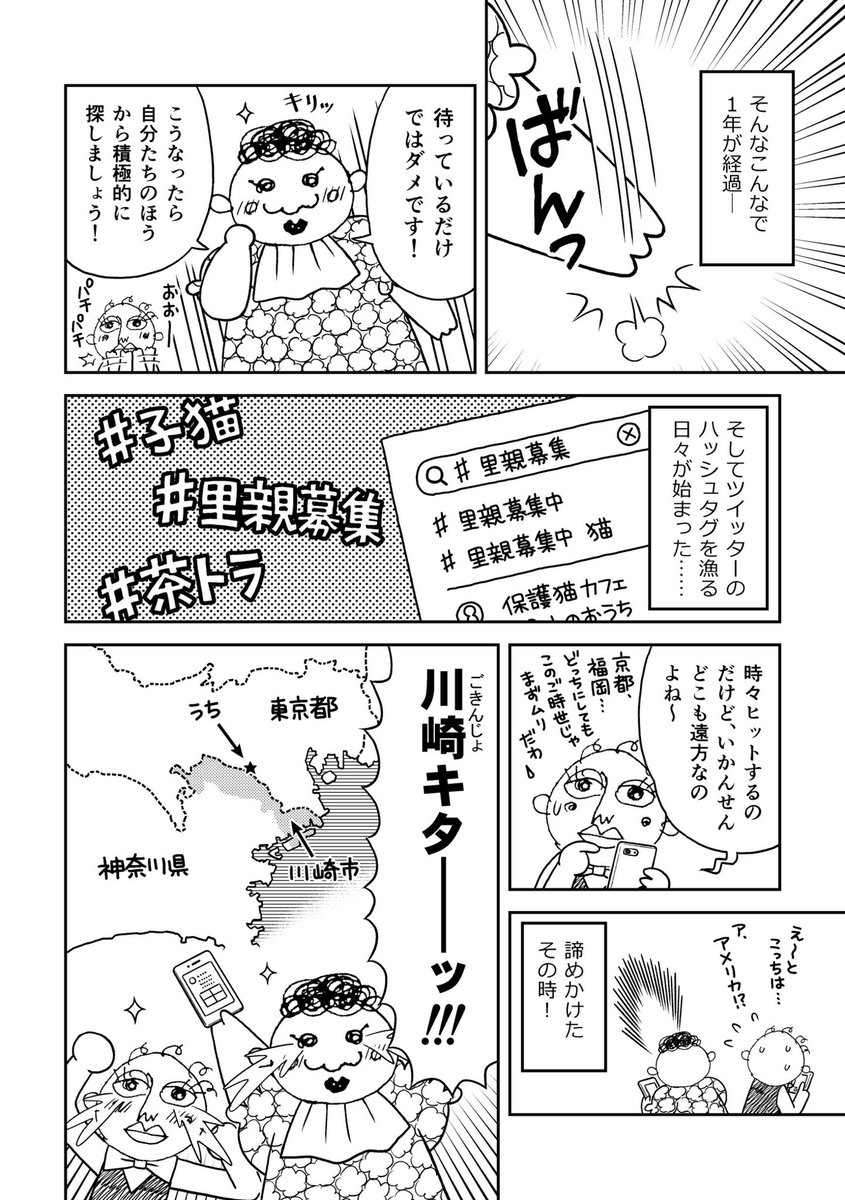 濃虎&薄虎が我が家に来るまでの経緯を描いた漫画も掲載!
『一丁目の濃虎&薄虎①』
販売中でーす!😆✨

ネタは貯まる一方…早く2巻を出したーーい!!!

https://t.co/UPfbXmNFLc 