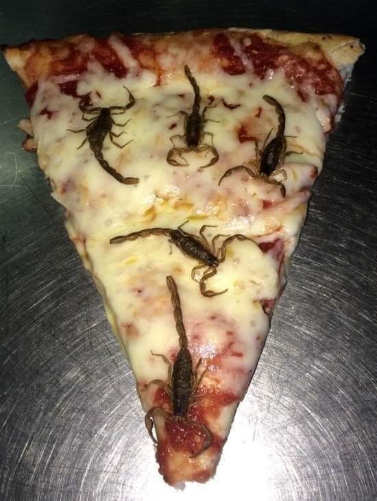 FfPesth's tweet photo. @oscar_mezar Pa acompañar una buena pizza mi Oscar https://t.co/TuqSwew0UQ