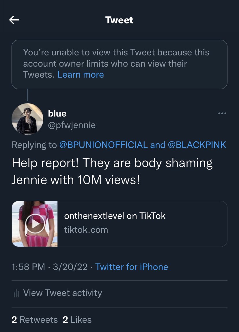 pfwjennie's tweet photo. As Jennie’s fan, i asked the help of @bpunionofficial in tweeting about the issue of a Tiktok video body shaming Jennie with 10M views to encourage blinks to report. But look at what they did, they blocked with with no response. Is this what you do to people asking for help? https://t.co/gPiRpYHkDu