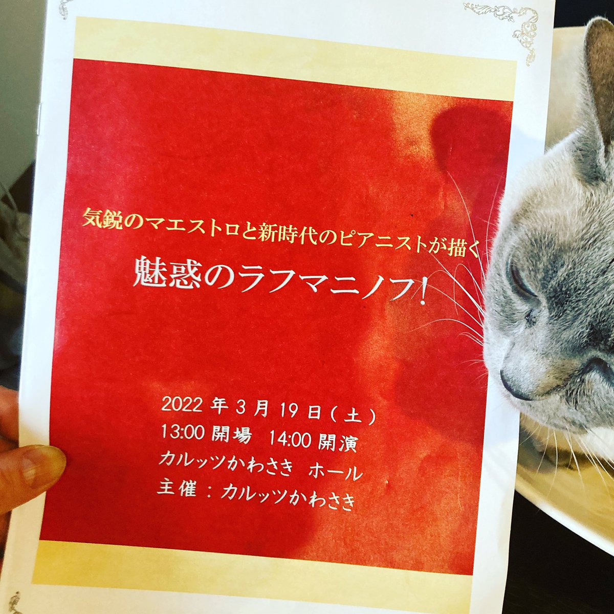 yuckarin's tweet photo. https://t.co/6cecVHkZAB