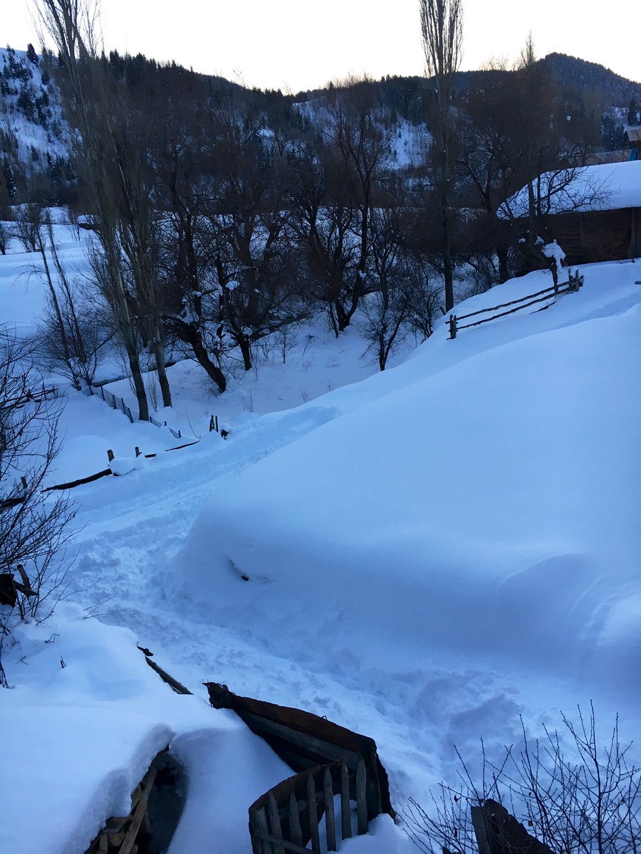 Güvensiz kalplerimizi,karaktersiz ve menfaatçı insanlara borçuyuz.