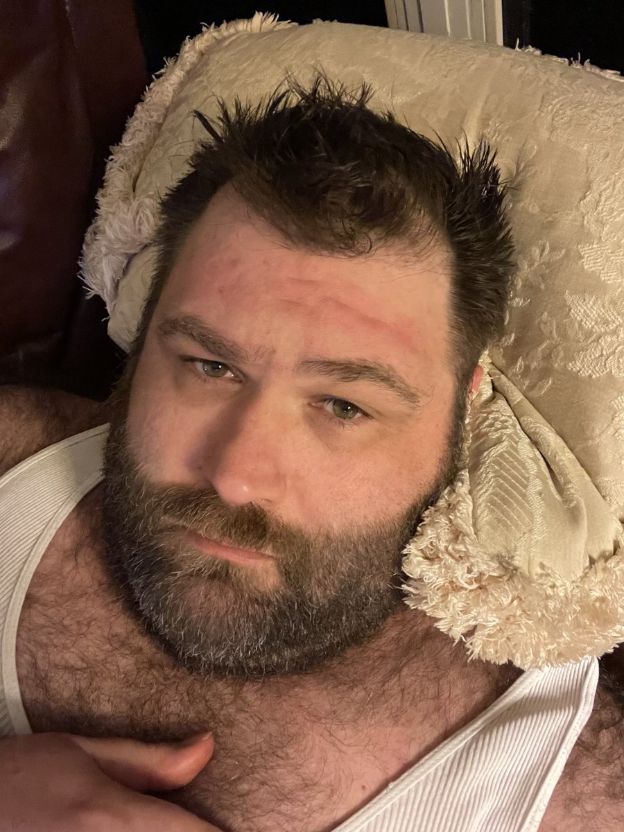 big bear tweet media