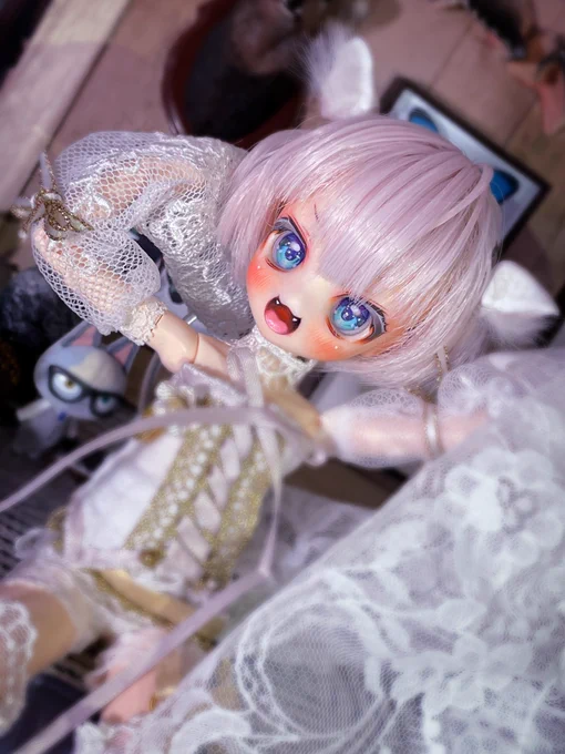お待たせしました先程準備が完了しましたのでページを追加しました〜ʕ•ᴥ•ʔ咲き誇る元気な笑顔をイメージした子です是非ご覧頂けたら頂けたら嬉しいです#まめるり亭 