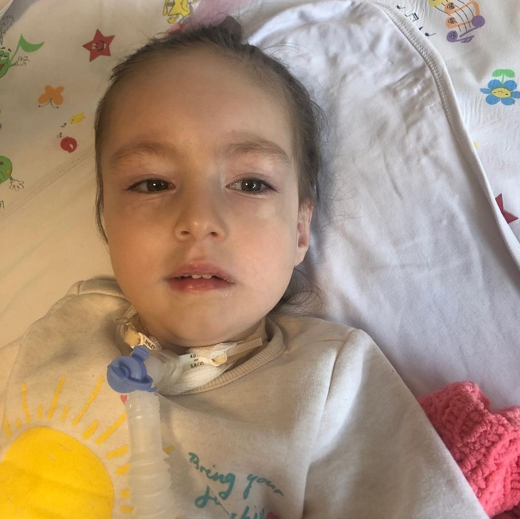 SARE KAZANDI tweet media