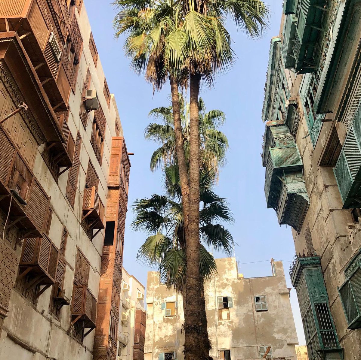 Voyagesalaune's tweet photo. Quelques images de notre voyage en Arabie saoudite #voyagesalaune #ArabieSaoudite #alula #riyad #jeddah https://t.co/9VKVfu3Qmt